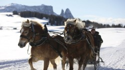 Un giro su una carrozza trainata da cavalli in Val Gardena